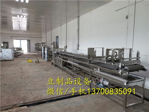 专业豆制品机械厂家 南丰豆腐皮机生产线参观豆腐皮机